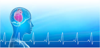 پلی ویگال در رویکردهای درمانی